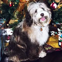 processed/9e712c86-848b-4661-a803-5b8494bb45b2/facility/abd53e18-d6bb-43da-922c-fac4f2a7a01c