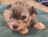 processed/9e7356b4-b4b4-4e28-819a-4d90064c5e4e/listing/817aee12-3569-4b3d-b2e0-7291584633c4/2a7413d7-76f4-4e54-bcc8-f86530f448ec