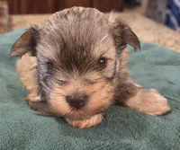 processed/9e7356b4-b4b4-4e28-819a-4d90064c5e4e/listing/817aee12-3569-4b3d-b2e0-7291584633c4/81580f6f-f239-4b65-8bab-5f23d5a81a01