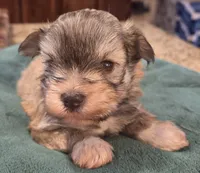 processed/9e7356b4-b4b4-4e28-819a-4d90064c5e4e/listing/817aee12-3569-4b3d-b2e0-7291584633c4/ac6ffdd2-57fa-46bd-bb72-0d14cecb653f