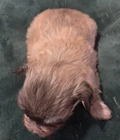 processed/9e7356b4-b4b4-4e28-819a-4d90064c5e4e/listing/817aee12-3569-4b3d-b2e0-7291584633c4/b8b4cfc5-a088-47b6-950e-20ed1e65215e