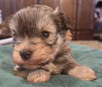 processed/9e7356b4-b4b4-4e28-819a-4d90064c5e4e/listing/817aee12-3569-4b3d-b2e0-7291584633c4/bf4dd502-0900-4ec7-996b-4da5f63f2da9