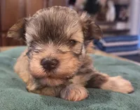 processed/9e7356b4-b4b4-4e28-819a-4d90064c5e4e/listing/817aee12-3569-4b3d-b2e0-7291584633c4/fd19dd08-c07b-472a-9342-5fea0b66158f