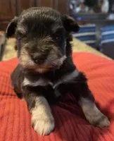 processed/9e7356b4-b4b4-4e28-819a-4d90064c5e4e/listing/9450ea3d-47db-4d0f-b223-5a1374097999/2ab88857-7b08-40bb-b05b-0fee03a23c33