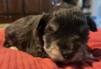 processed/9e7356b4-b4b4-4e28-819a-4d90064c5e4e/listing/9450ea3d-47db-4d0f-b223-5a1374097999/93fcff92-324e-4699-8820-26b36a58a10c