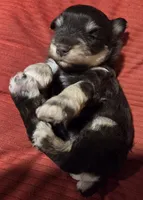 processed/9e7356b4-b4b4-4e28-819a-4d90064c5e4e/listing/9450ea3d-47db-4d0f-b223-5a1374097999/ce1ac344-b19e-4051-a17d-1c3a27596f12