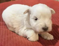 processed/9e7356b4-b4b4-4e28-819a-4d90064c5e4e/listing/a085173d-7e7b-4ed3-823f-b40aec9795b9/8470ad99-4443-4c0e-b9fd-884cb38f9ced