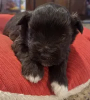 processed/9e7356b4-b4b4-4e28-819a-4d90064c5e4e/listing/e94c1b8a-6f96-459c-9852-7311f1ea2cd2/0282e9a9-efb1-4c22-b566-07adbf6b5fca