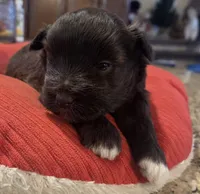 processed/9e7356b4-b4b4-4e28-819a-4d90064c5e4e/listing/e94c1b8a-6f96-459c-9852-7311f1ea2cd2/262b1fd2-773b-4f34-ad1d-76c84cf721da