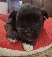 processed/9e7356b4-b4b4-4e28-819a-4d90064c5e4e/listing/e94c1b8a-6f96-459c-9852-7311f1ea2cd2/6211ac4d-c60c-4b0b-8be6-82977f43209d