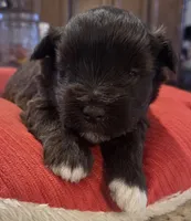 processed/9e7356b4-b4b4-4e28-819a-4d90064c5e4e/listing/e94c1b8a-6f96-459c-9852-7311f1ea2cd2/8ac05f57-17bd-4985-8c4b-9784e67bd601