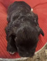 processed/9e7356b4-b4b4-4e28-819a-4d90064c5e4e/listing/e94c1b8a-6f96-459c-9852-7311f1ea2cd2/9ae808cc-6983-4418-8551-8c76691ebf3a