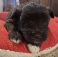 processed/9e7356b4-b4b4-4e28-819a-4d90064c5e4e/listing/e94c1b8a-6f96-459c-9852-7311f1ea2cd2/c0ded413-74d7-4d74-85a5-41f4c54f8180