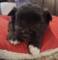 processed/9e7356b4-b4b4-4e28-819a-4d90064c5e4e/listing/e94c1b8a-6f96-459c-9852-7311f1ea2cd2/ceec4166-df96-4bb2-812b-0c34a9d32650