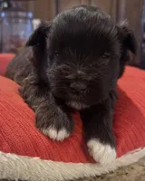 processed/9e7356b4-b4b4-4e28-819a-4d90064c5e4e/listing/e94c1b8a-6f96-459c-9852-7311f1ea2cd2/ff60023e-c0a1-4f19-bb8d-c6e1f7e10145