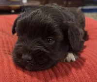 processed/9e7356b4-b4b4-4e28-819a-4d90064c5e4e/listing/fde61c23-e98f-46a0-9eb7-36987e22abc6/3df992fd-3ec6-419c-8661-7b0e820ee643