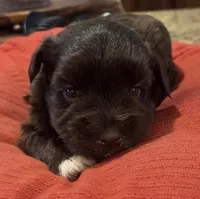 processed/9e7356b4-b4b4-4e28-819a-4d90064c5e4e/listing/fde61c23-e98f-46a0-9eb7-36987e22abc6/7a87554c-2b9d-4b0c-a05b-cfd7e5dda13d