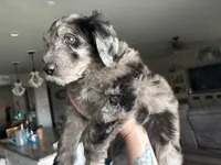 processed/9e74a8e9-9ce0-47ff-973e-982b73207b9a/facility/143e699c-4ab2-40a6-bfe2-96086e44955b