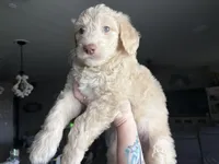 processed/9e74a8e9-9ce0-47ff-973e-982b73207b9a/facility/83c3f720-9019-4ad8-95ac-c091d6207401