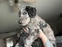 processed/9e74a8e9-9ce0-47ff-973e-982b73207b9a/facility/8bcf5bbf-28cb-4e3b-8ad2-2efc1e4124d8