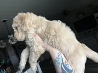 processed/9e74a8e9-9ce0-47ff-973e-982b73207b9a/facility/9e735774-90c5-42ed-a919-b17623a36e6c