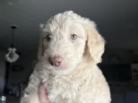 processed/9e74a8e9-9ce0-47ff-973e-982b73207b9a/facility/a5578759-d2ee-43c8-a75e-e33bb88ccc5c