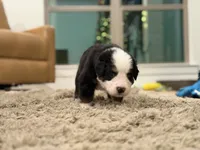 processed/9e77e8a8-8b3f-40e5-a78a-8cdbb358b9ee/facility/14a4d32f-ce24-4f33-b263-86292d0b6f6e