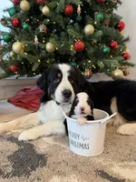 processed/9e77e8a8-8b3f-40e5-a78a-8cdbb358b9ee/facility/4b664704-1384-4394-9ae5-413bbe448af0