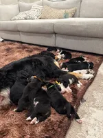 processed/9e77e8a8-8b3f-40e5-a78a-8cdbb358b9ee/facility/578c37e1-78ed-4493-a62e-9461dacef402