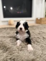 processed/9e77e8a8-8b3f-40e5-a78a-8cdbb358b9ee/facility/7fa978e3-96fc-4a1e-bf35-798b46b5adae