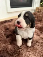 processed/9e77e8a8-8b3f-40e5-a78a-8cdbb358b9ee/facility/87031b41-2bd8-46c9-807a-3aab162ab6a0