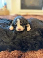 processed/9e77e8a8-8b3f-40e5-a78a-8cdbb358b9ee/facility/9ab4b520-fc9e-4c65-bba8-00597c1b701e