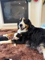 processed/9e77e8a8-8b3f-40e5-a78a-8cdbb358b9ee/facility/d34edfca-ca09-4c63-9552-56079a7abac5