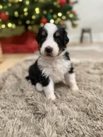 processed/9e77e8a8-8b3f-40e5-a78a-8cdbb358b9ee/facility/fb9381d3-335d-4321-9d11-1b19b80961db