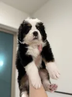 processed/9e77e8a8-8b3f-40e5-a78a-8cdbb358b9ee/listing/c3ed7e8d-1ad9-47aa-806f-2624597a8b38/30e81248-d746-4c8a-85f5-ca64afc431c8