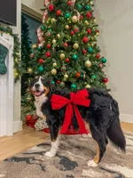 processed/9e77e8a8-8b3f-40e5-a78a-8cdbb358b9ee/listing/c3ed7e8d-1ad9-47aa-806f-2624597a8b38/d6bb355a-ee1a-476b-99ea-9f0cd887c474