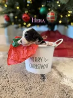 processed/9e77e8a8-8b3f-40e5-a78a-8cdbb358b9ee/listing/c3ed7e8d-1ad9-47aa-806f-2624597a8b38/d7b4e0f4-8533-42a9-a477-e3209f72a7f2