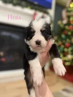 processed/9e77e8a8-8b3f-40e5-a78a-8cdbb358b9ee/listing/c3ed7e8d-1ad9-47aa-806f-2624597a8b38/fa7c9dfb-8d91-44d1-b91f-e23337403ef5