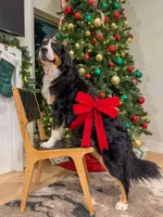 processed/9e77e8a8-8b3f-40e5-a78a-8cdbb358b9ee/listing/e6c82204-d0ce-49fb-803d-efb2fdcedd5a/24c2cdc0-590f-445b-9478-4a4fb2f6c0b8