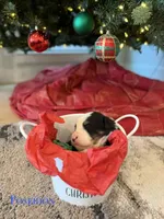 processed/9e77e8a8-8b3f-40e5-a78a-8cdbb358b9ee/listing/e6c82204-d0ce-49fb-803d-efb2fdcedd5a/2e7a21e5-7721-4b8d-bf6b-a32d3c8190b1