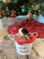 processed/9e77e8a8-8b3f-40e5-a78a-8cdbb358b9ee/listing/e6c82204-d0ce-49fb-803d-efb2fdcedd5a/8c9f3240-16ea-40c1-adb7-e815ddff56ef