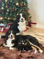 processed/9e77e8a8-8b3f-40e5-a78a-8cdbb358b9ee/listing/e6c82204-d0ce-49fb-803d-efb2fdcedd5a/94da8e01-8468-4cfc-8033-7c6f9055558b