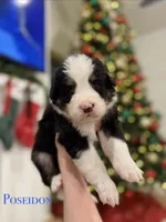 processed/9e77e8a8-8b3f-40e5-a78a-8cdbb358b9ee/listing/e6c82204-d0ce-49fb-803d-efb2fdcedd5a/cf0f2da0-02aa-4219-945e-3694ae480a00