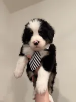 processed/9e77e8a8-8b3f-40e5-a78a-8cdbb358b9ee/listing/e6c82204-d0ce-49fb-803d-efb2fdcedd5a/fa1f677b-6273-4559-aeb5-4ad0019e9669