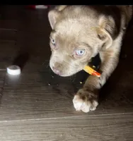 processed/9e810970-301e-470e-a808-8bc8bc942009/listing/9fbfbba3-1ca8-483f-b858-2089b1df0006/1171cce8-f6bc-42bb-aee7-7f5e1eb303ee