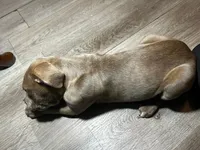 processed/9e810970-301e-470e-a808-8bc8bc942009/listing/9fbfbba3-1ca8-483f-b858-2089b1df0006/25b97c9d-645e-41fe-ad47-28774230fa75