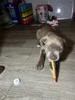 processed/9e810970-301e-470e-a808-8bc8bc942009/listing/9fbfbba3-1ca8-483f-b858-2089b1df0006/3d4303a5-b855-49d8-bf8d-7a0e15139d03