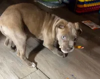 processed/9e810970-301e-470e-a808-8bc8bc942009/listing/9fbfbba3-1ca8-483f-b858-2089b1df0006/3dadc03a-fd21-48b6-bc42-afa3d64dcc00