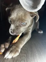 processed/9e810970-301e-470e-a808-8bc8bc942009/listing/9fbfbba3-1ca8-483f-b858-2089b1df0006/9afd2acb-94e6-4904-8167-0169654d441d