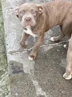 processed/9e810970-301e-470e-a808-8bc8bc942009/listing/9fbfbba3-1ca8-483f-b858-2089b1df0006/e8343ba1-5fbd-4d93-91dc-00bb89927063